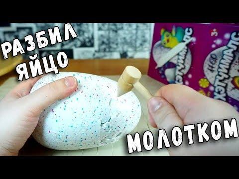 РАЗБЕЙ ЯЙЦО Хетчималс МОЛОТКОМ ПОДДЕЛКА HATCHIMALS ОБЗОР ТОВАРИЩА САФРОНОВА