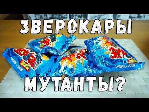 ЗВЕРОКАРЫ СЮРПРИЗ