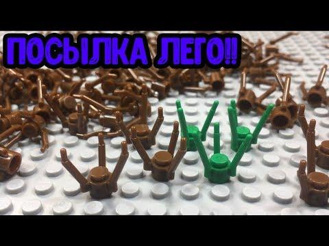 Посылка - кустики коричневые!! (Обзор посылки с Алиекспресс)