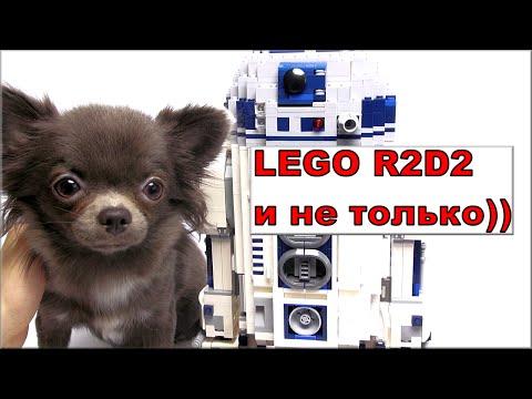 Лего Звёздные войны Дроид R2D2 (10225) и моя собака Обзор Lego Star Wars