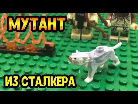 Псевдо-собака из сталкера!! (Обзор набора!)